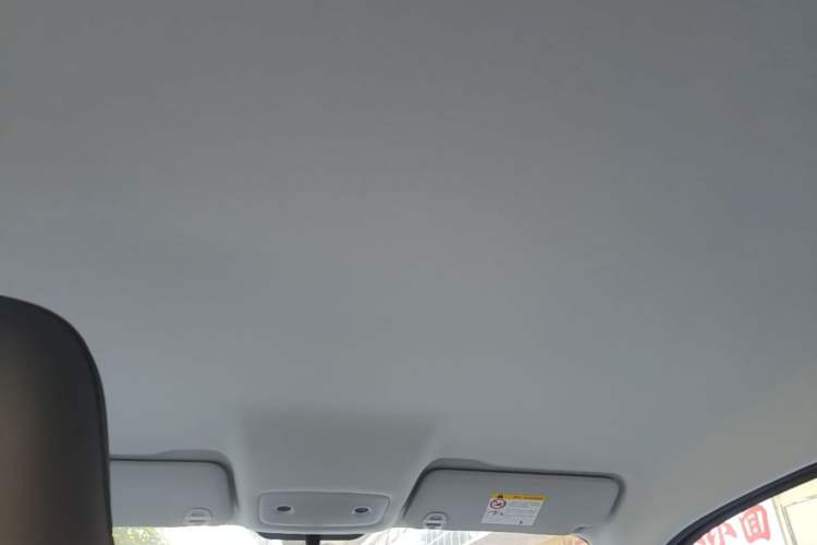 Used Leapmotor T03 2025 403 Comfort Edition Headliner