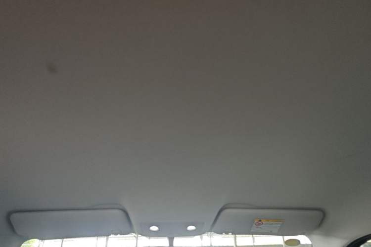 Used Leapmotor T03 2025 403 Comfort Edition Headliner