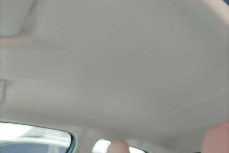 Used Leapmotor T03 2025 403 Comfort Edition Headliner