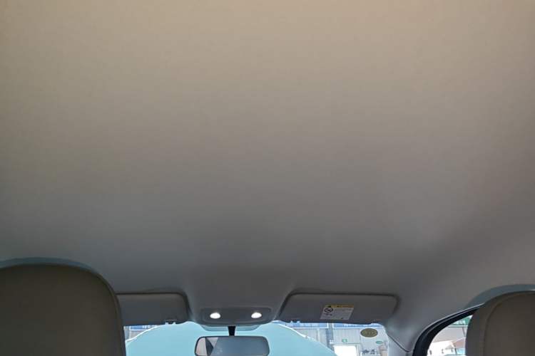 Used Leapmotor T03 2025 403 Comfort Edition Headliner