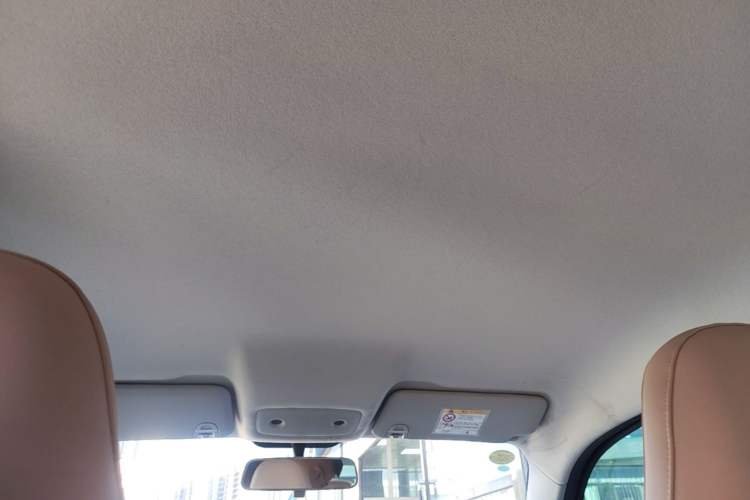 Used Leapmotor T03 2025 310 Comfort Edition Headliner