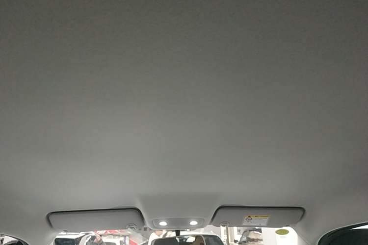 Used Leapmotor T03 2025 403 Comfort Edition Headliner