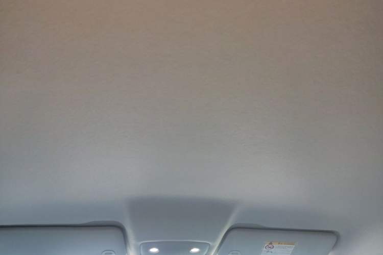 Used Leapmotor T03 2025 403 Comfort Edition Headliner