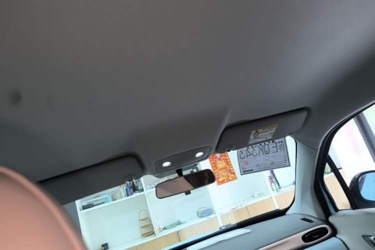 Used Leapmotor T03 2025 403 Comfort Edition Headliner