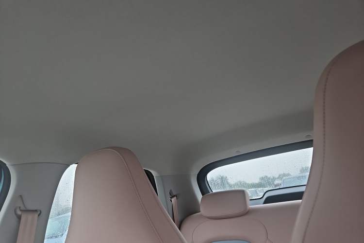 Used Leapmotor T03 2025 403 Comfort Edition Headliner