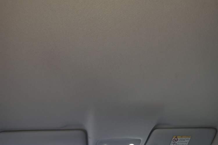 Used Leapmotor T03 2025 403 Comfort Edition Headliner