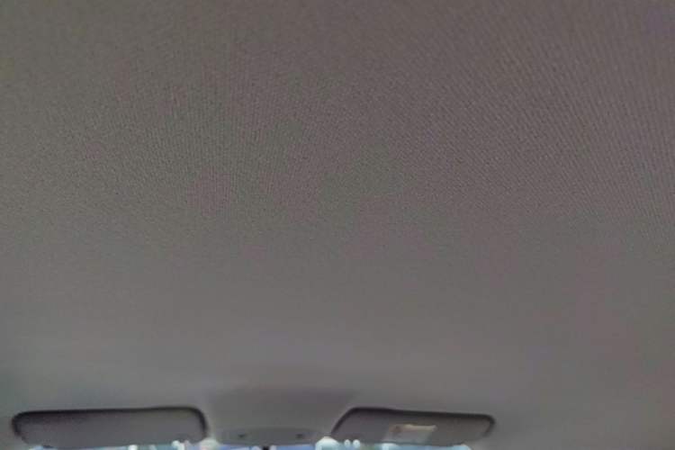 Used Leapmotor T03 2025 310 Comfort Edition Headliner