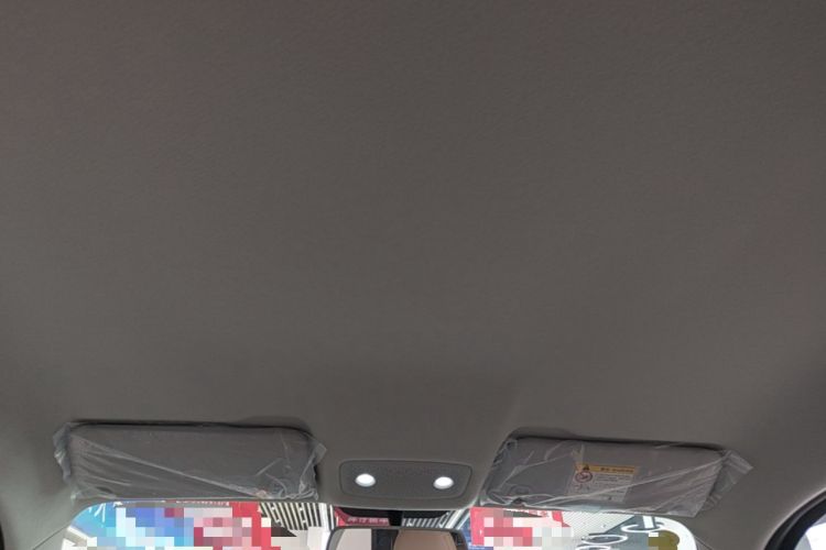 Used Leapmotor T03 2025 310 Comfort Edition Headliner
