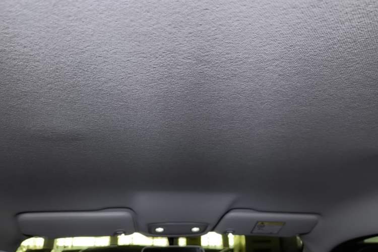 Used Leapmotor T03 2025 310 Comfort Edition Headliner