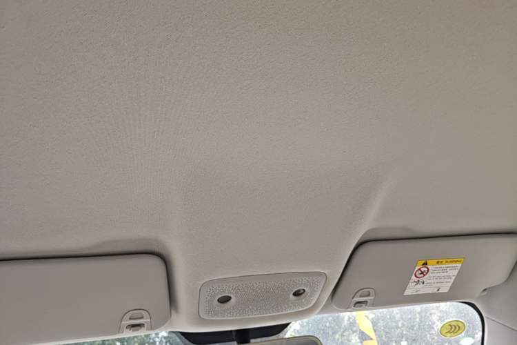 Used Leapmotor T03 2025 403 Comfort Edition Headliner