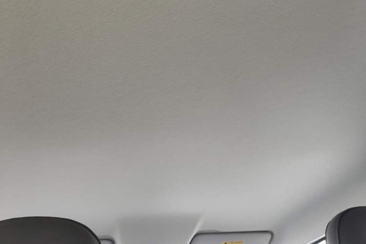 Used Leapmotor T03 2025 310 Comfort Edition Headliner