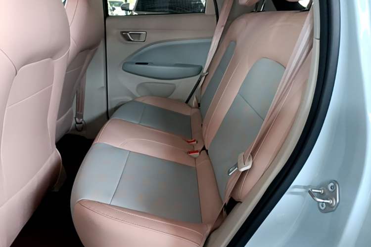 Used Leapmotor T03 2025 310 Comfort Edition Left Rear Seat
