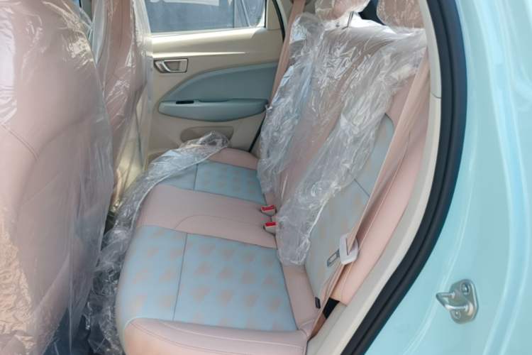 Used Leapmotor T03 2025 310 Comfort Edition Left Rear Seat