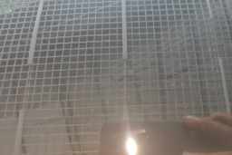 Thumbnail 11