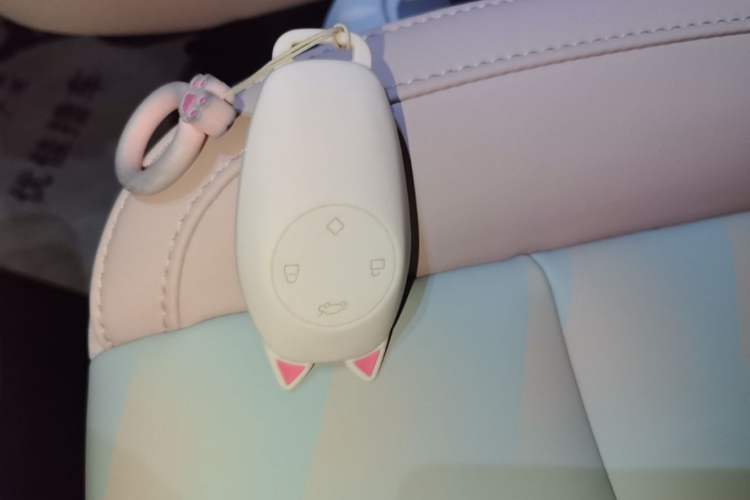 Used Leapmotor T03 2025 310 Comfort Edition Vehicle Key
