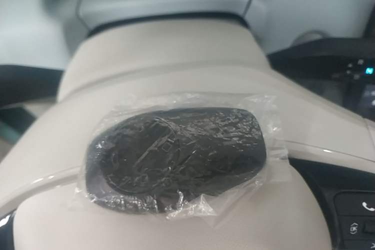 Used Leapmotor T03 2025 403 Comfort Edition Vehicle Key