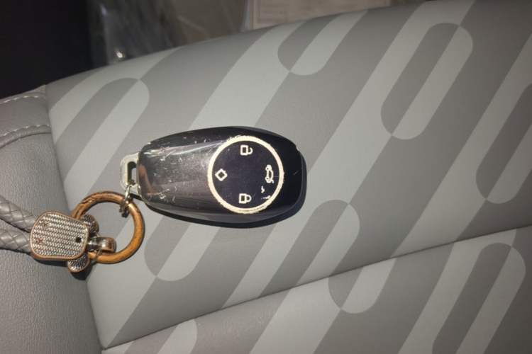 Used Leapmotor T03 2025 403 Comfort Edition Vehicle Key
