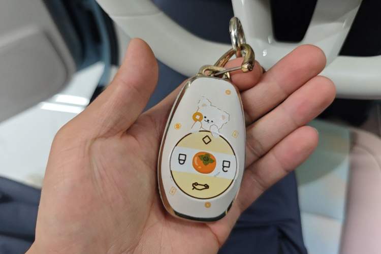 Used Leapmotor T03 2025 310 Comfort Edition Vehicle Key