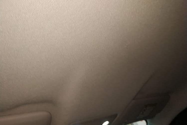 Used Leapmotor T03 2025 403 Comfort Edition Headliner