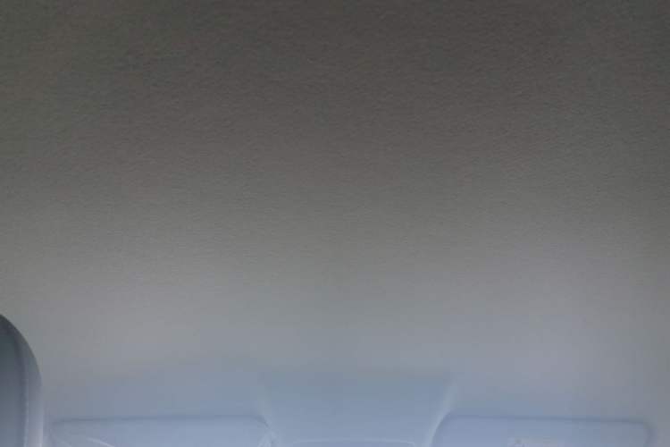 Used Leapmotor T03 2025 310 Comfort Edition Headliner