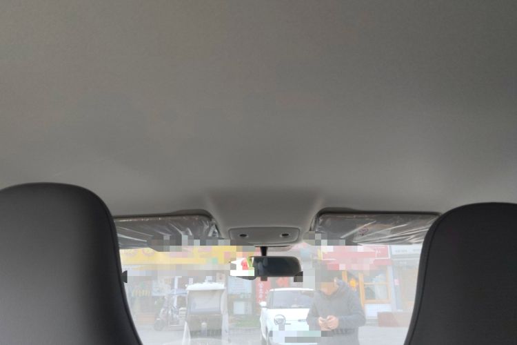 Used Leapmotor T03 2025 310 Comfort Edition Headliner