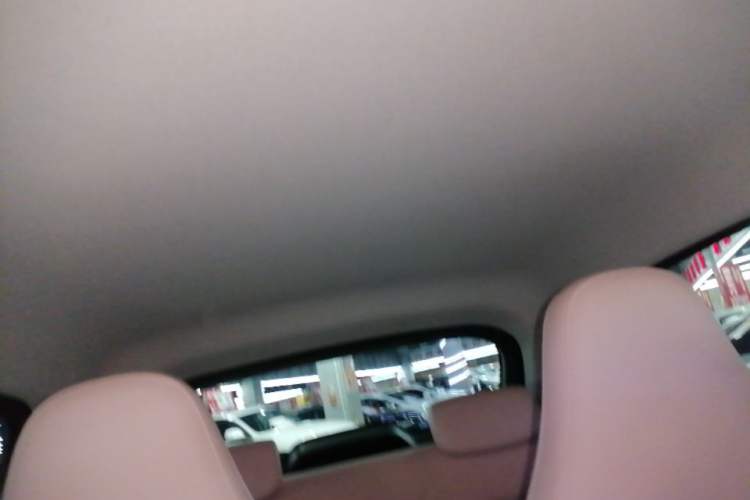 Used Leapmotor T03 2025 310 Comfort Edition Headliner