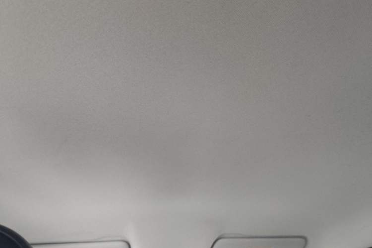 Used Leapmotor T03 2025 403 Comfort Edition Headliner