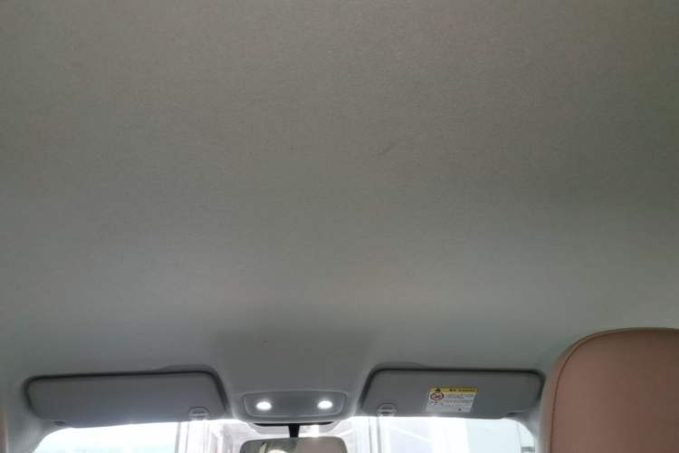 Used Leapmotor T03 2025 403 Comfort Edition Headliner