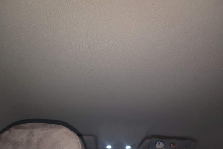 Used Leapmotor T03 2025 403 Comfort Edition Headliner