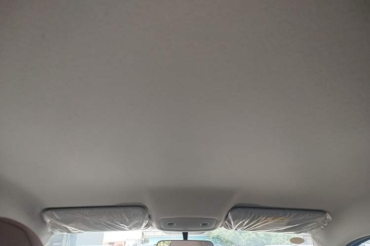 Used Leapmotor T03 2025 403 Comfort Edition Headliner