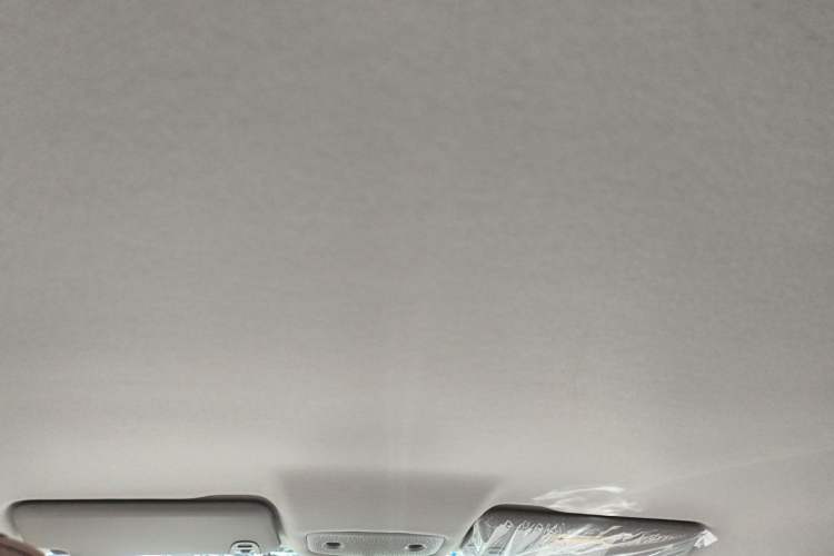 Used Leapmotor T03 2025 403 Comfort Edition Headliner
