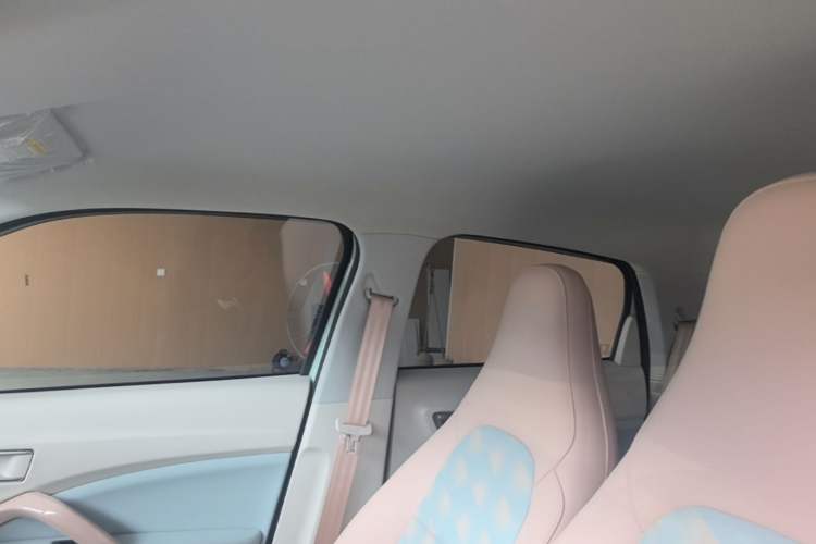 Used Leapmotor T03 2025 310 Comfort Edition Headliner