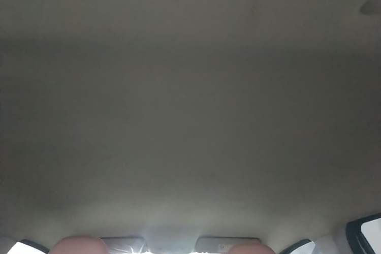 Used Leapmotor T03 2025 310 Comfort Edition Headliner