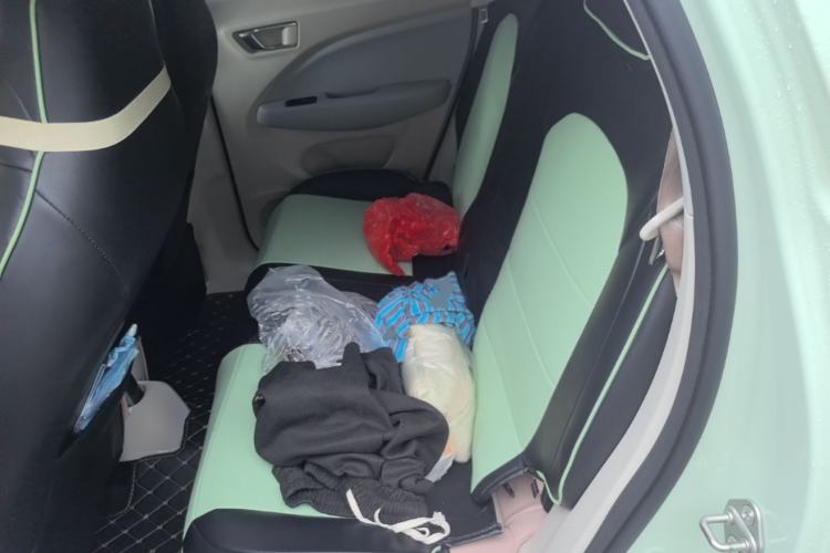 Used Leapmotor T03 2025 310 Comfort Edition Left Rear Seat