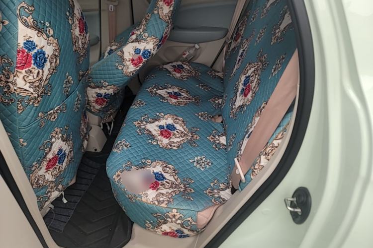 Used Leapmotor T03 2025 310 Comfort Edition Left Rear Seat