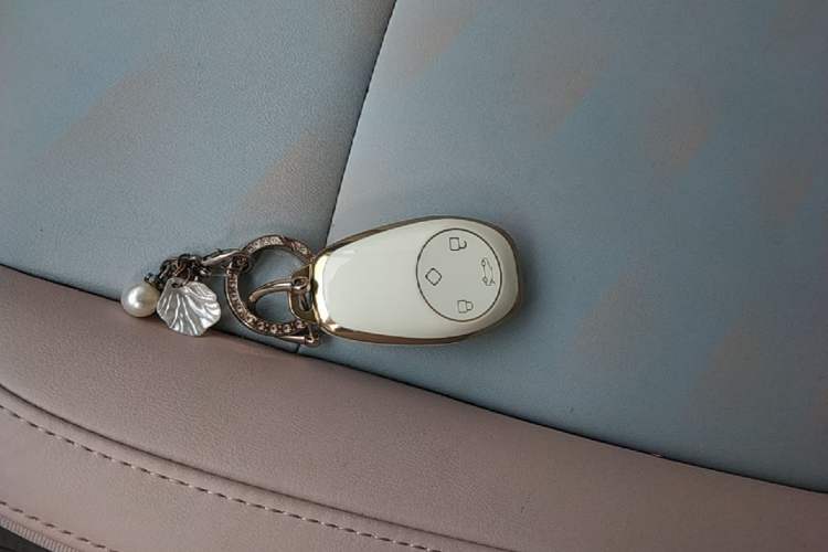 Used Leapmotor T03 2025 310 Comfort Edition Vehicle Key