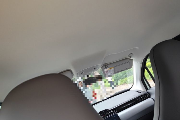 Used Leapmotor T03 2025 310 Comfort Edition Headliner