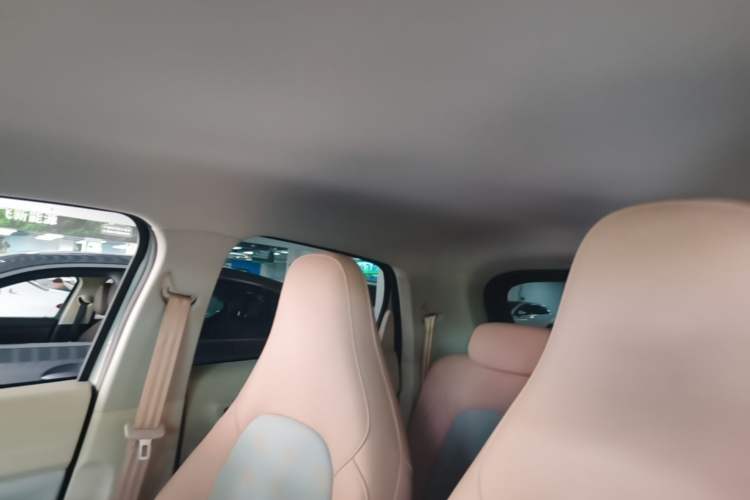 Used Leapmotor T03 2025 310 Comfort Edition Headliner