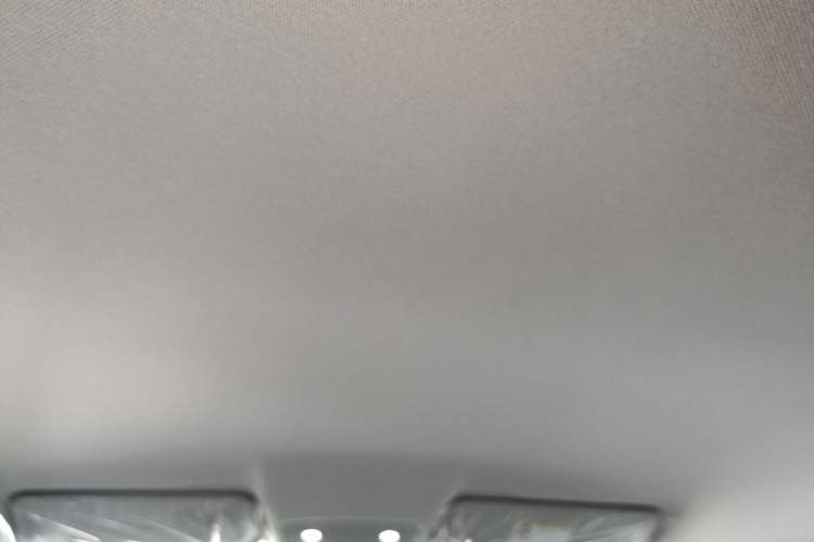 Used Leapmotor T03 2025 310 Comfort Edition Headliner
