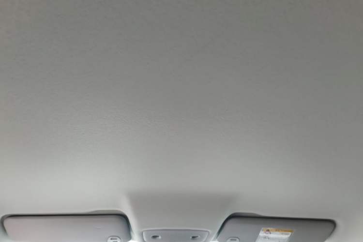 Used Leapmotor T03 2025 403 Comfort Edition Headliner