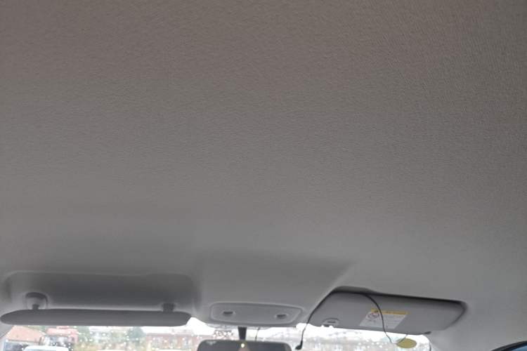 Used Leapmotor T03 2025 310 Comfort Edition Headliner