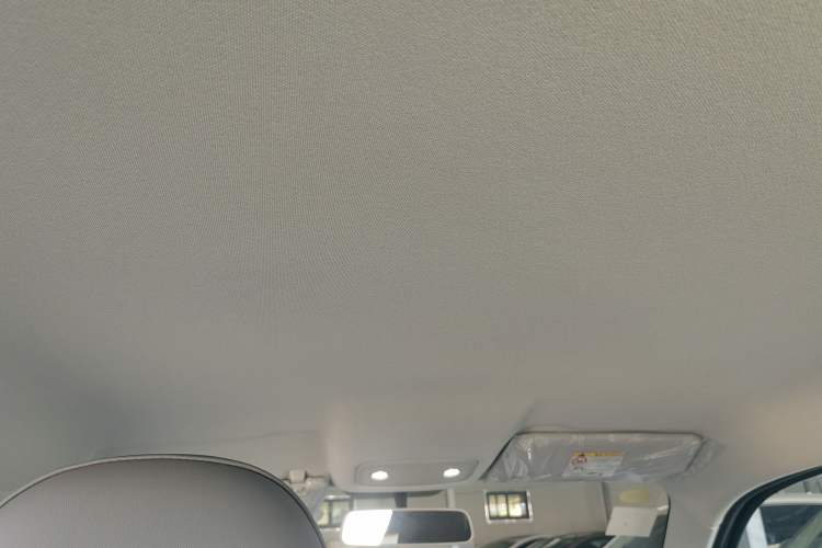 Used Leapmotor T03 2025 310 Comfort Edition Headliner