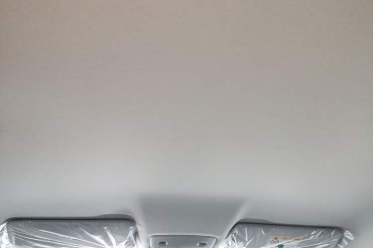 Used Leapmotor T03 2025 310 Comfort Edition Headliner