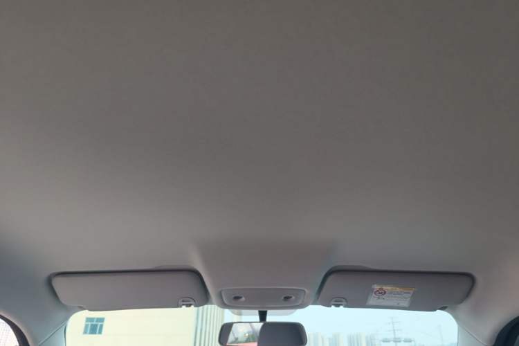 Used Leapmotor T03 2025 403 Comfort Edition Headliner