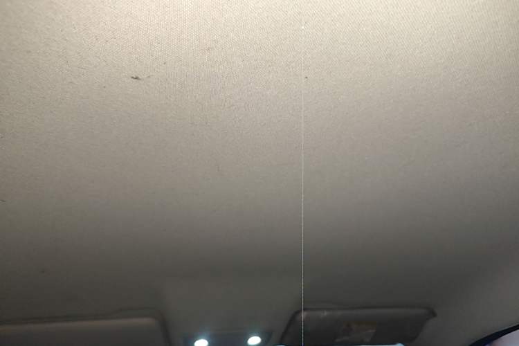 Used Leapmotor T03 2025 310 Comfort Edition Headliner
