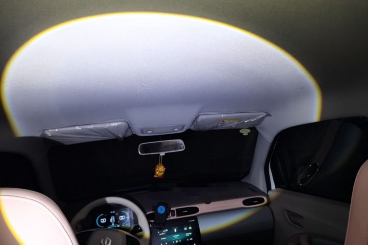 Used Leapmotor T03 2025 310 Comfort Edition Headliner