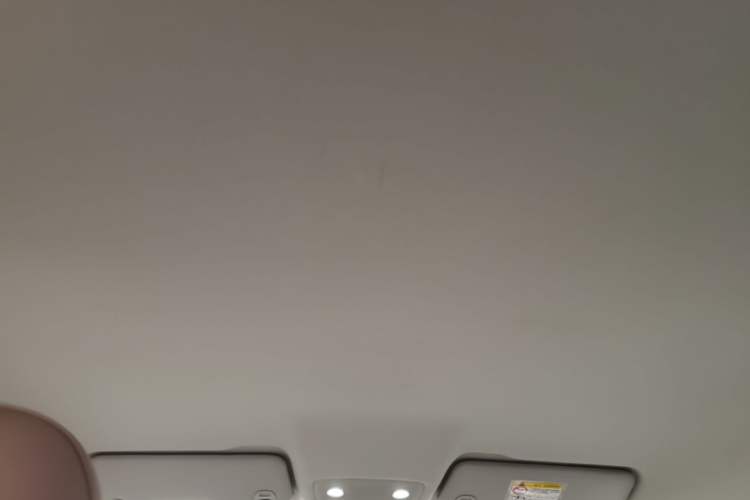 Used Leapmotor T03 2025 310 Comfort Edition Headliner