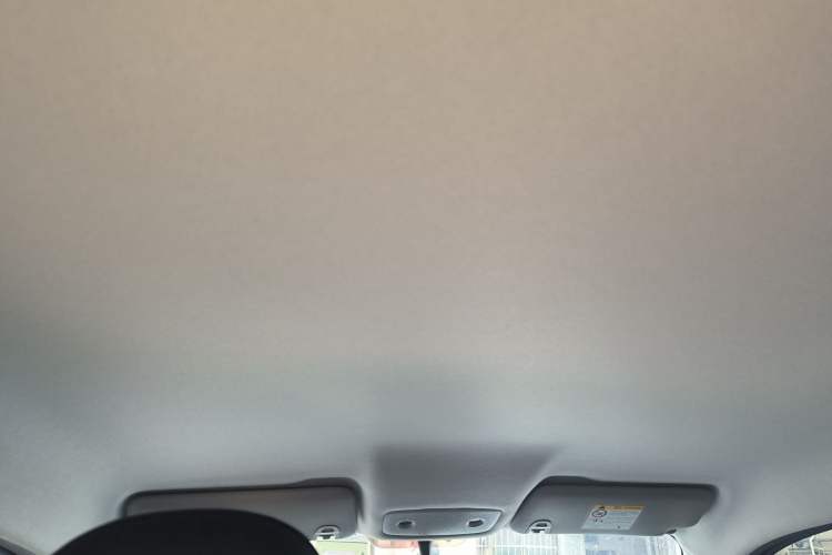 Used Leapmotor T03 2025 310 Comfort Edition Headliner