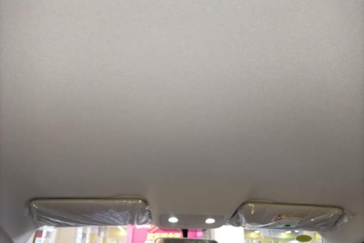 Used Leapmotor T03 2025 310 Comfort Edition Headliner