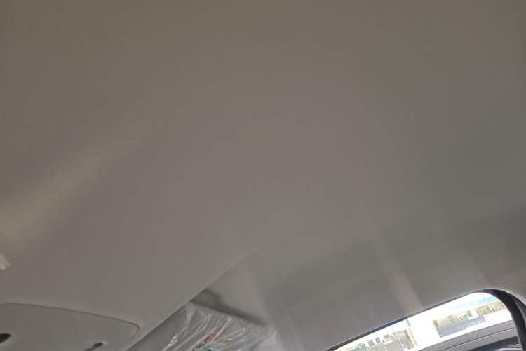 Used Leapmotor T03 2025 310 Comfort Edition Headliner